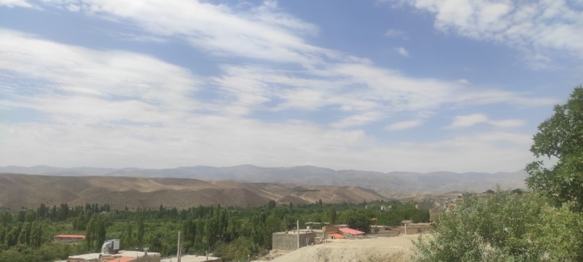 The nature of Abqod village in summer