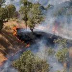 Hyrcanian forests are burning; The endless story of the destruction of the green treasure (+ latest status)