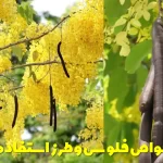 Flos properties and how to use