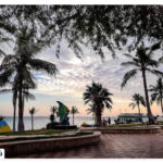 Where is Olive Park?