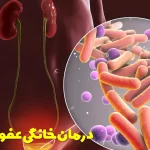 Home remedies for bladder infection