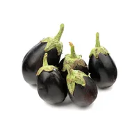 Fresh sliced eggplant, amount 1 kg