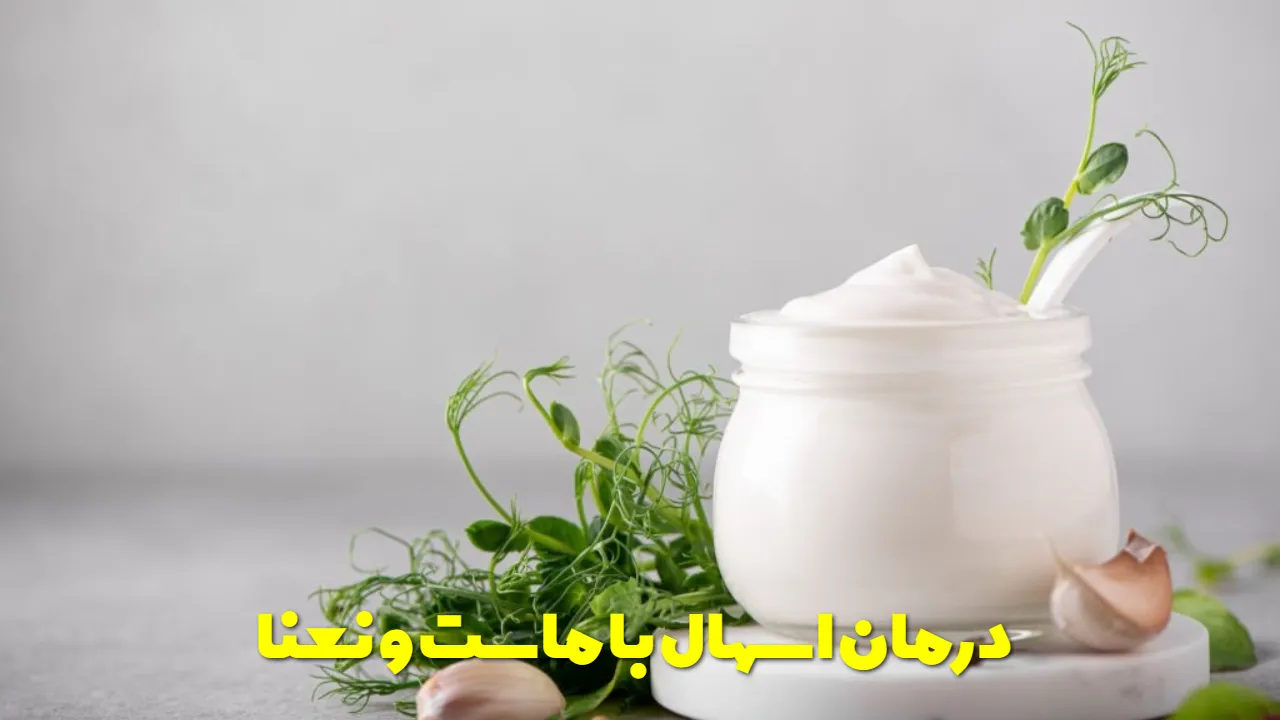 Treatment of diarrhea with yogurt and mint