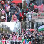 Massive demonstrations by Belgians in support of Palestine + photo