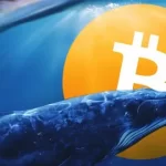 The sudden awakening of the satoshi era whale after 14 years