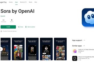 Sora Android application