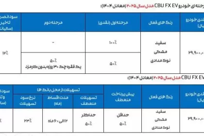 Terms and conditions of cash and installment sales of Phoenix FX Electric
