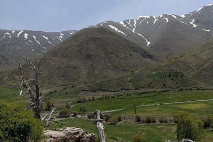 The green nature of Hoyer Damavand village