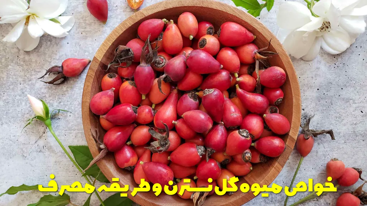 The properties of the nasturtium fruit and how to use it