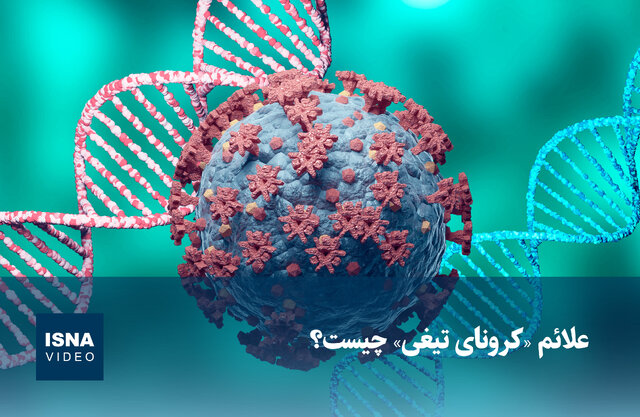 Video/ What are the symptoms of