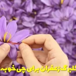 What is saffron petal good for?