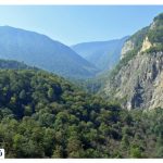 Where are the Hyrcanian forests?