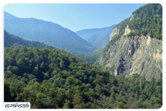 Where are the Hyrcanian forests?