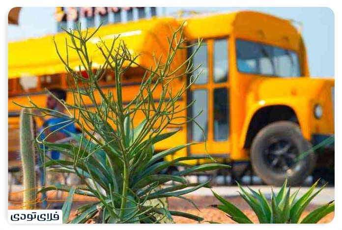 Sightseeing places in Kish in autumn