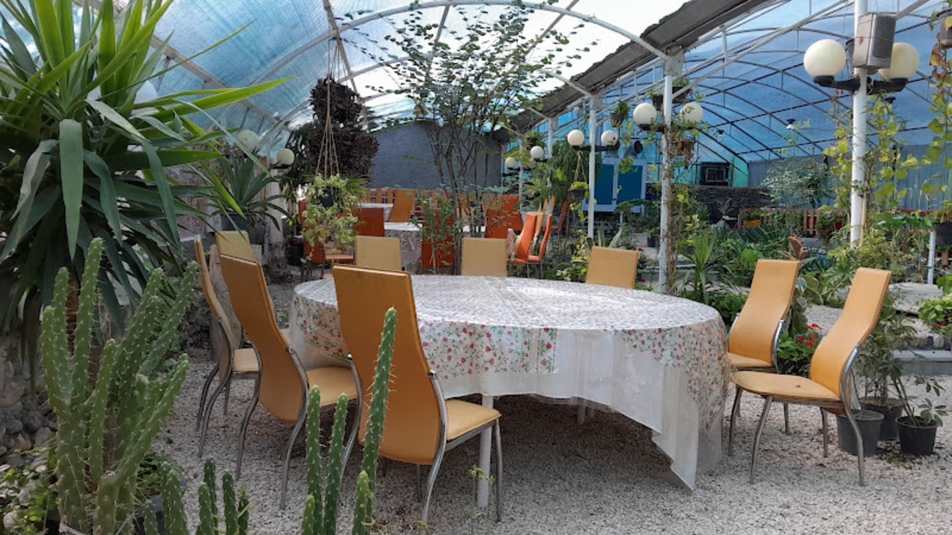 The green atmosphere of Shab Bo Shahroud restaurant garden