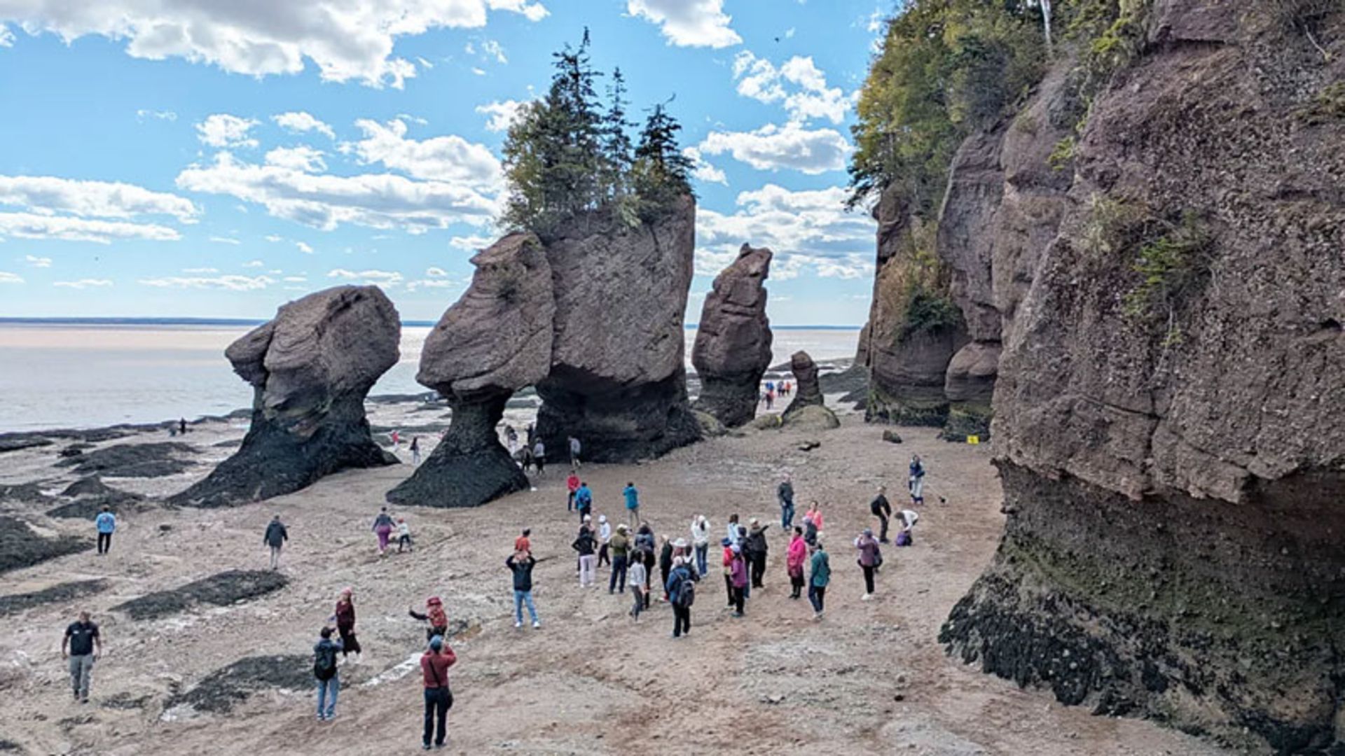 Tourists on Ministers Island
