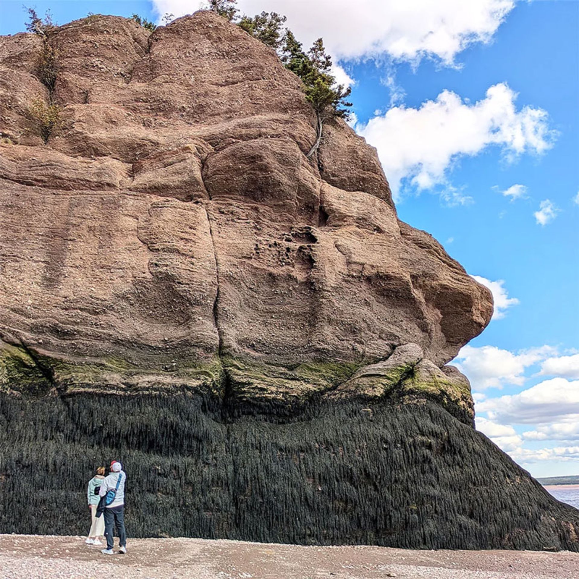 Hopewell Rocks in Canada