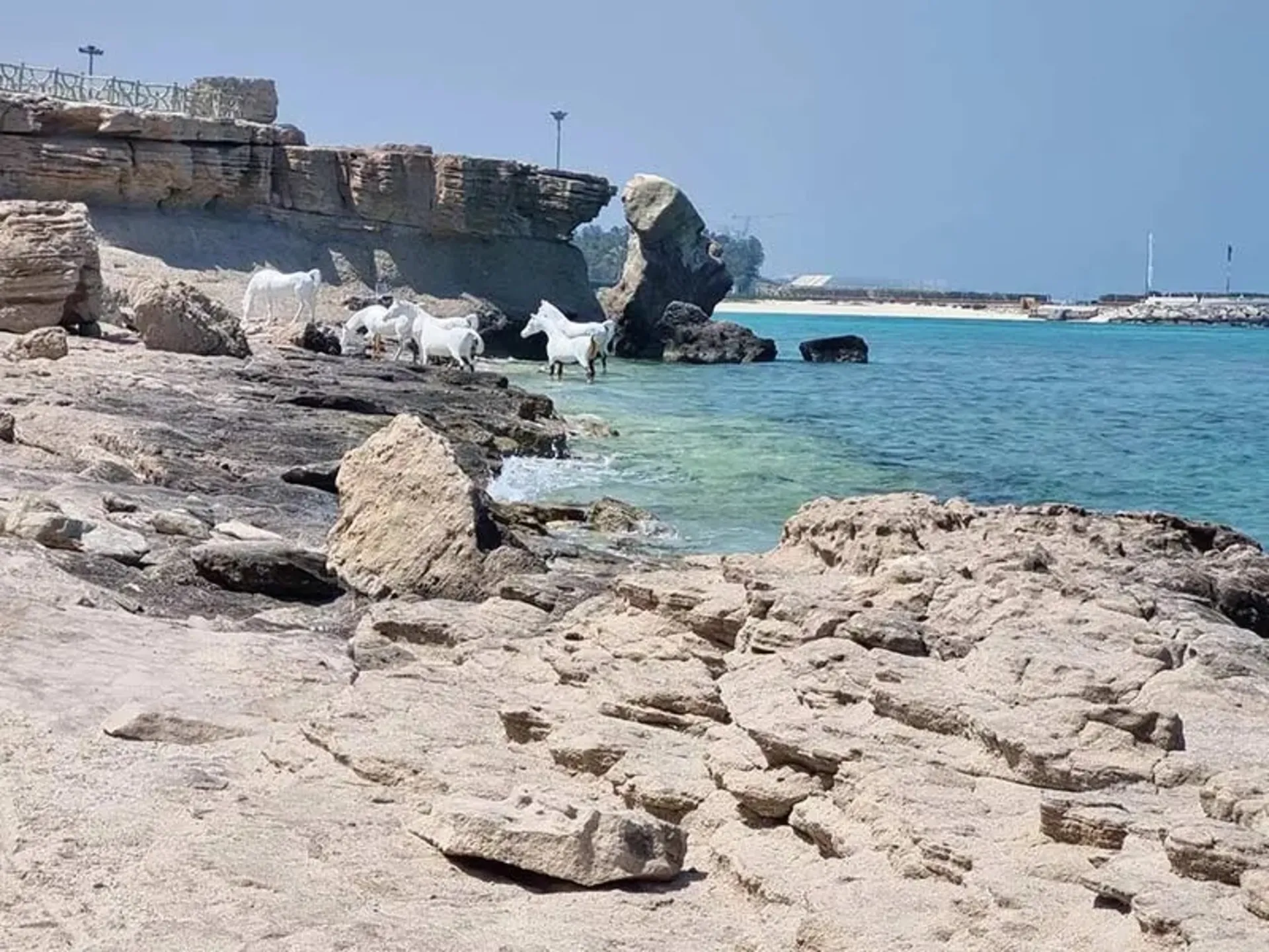 Marjan beach sculptures