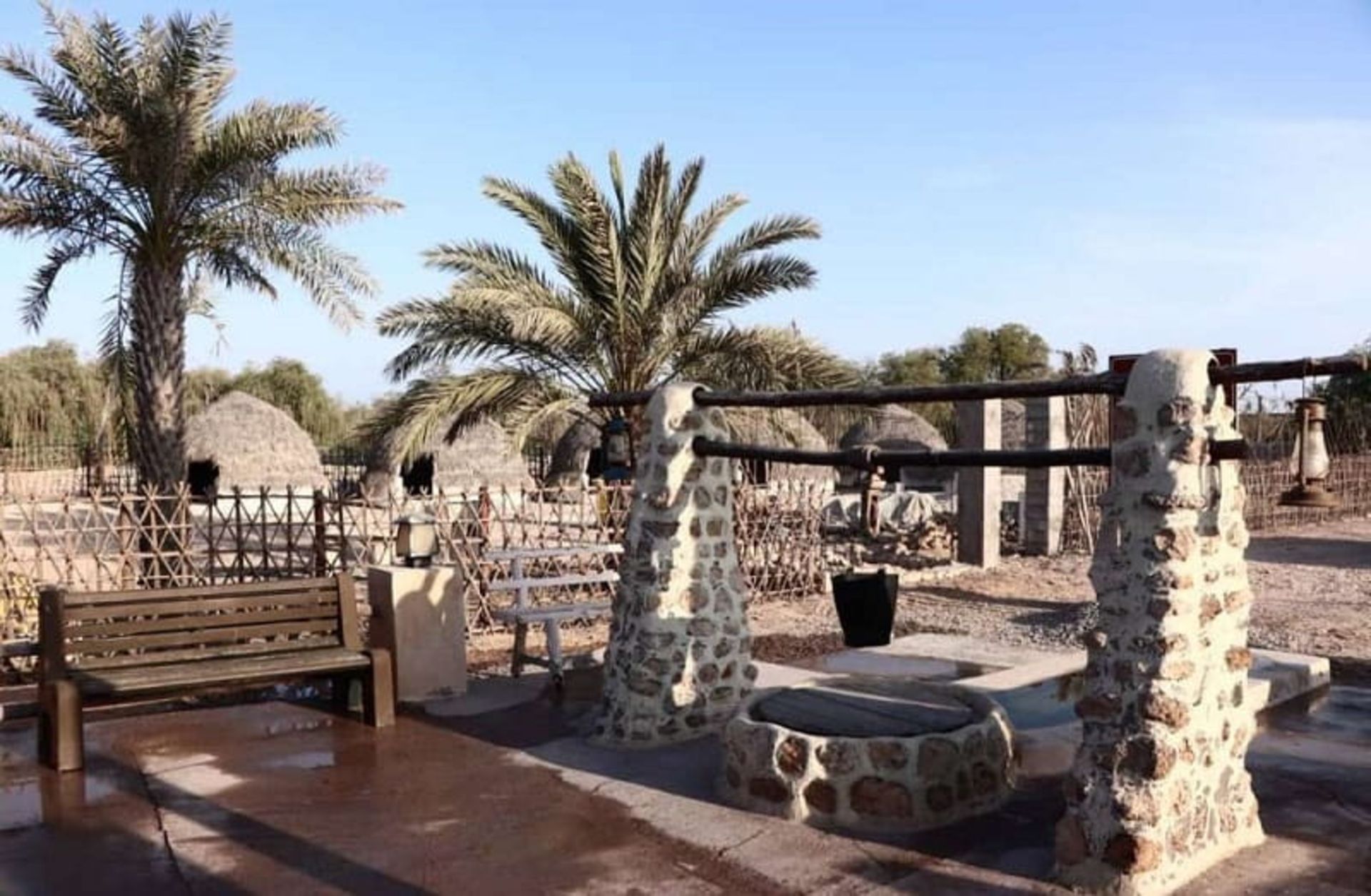 Historical context and palm trees of Bago Kish village