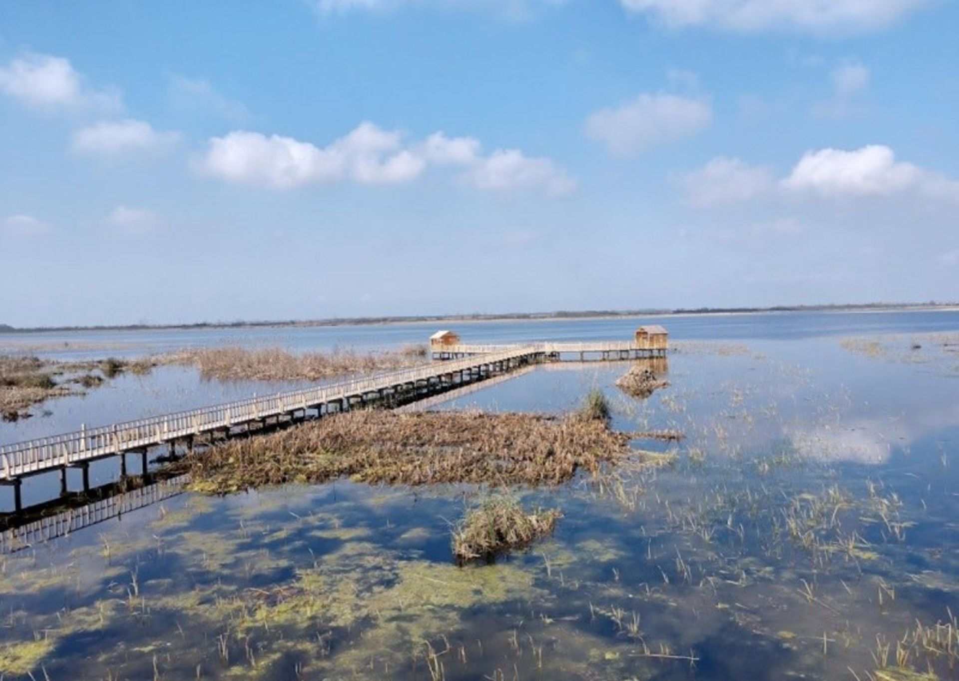 A view of a wooden pier in the middle of Amir Kalaye lagoon