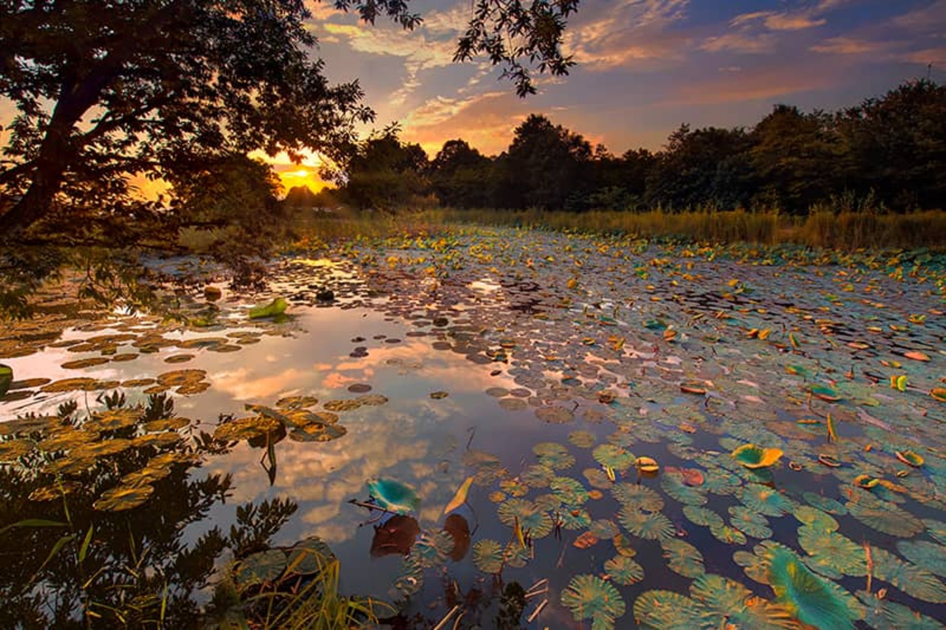 Beautiful view of Sustan lagoon at sunset