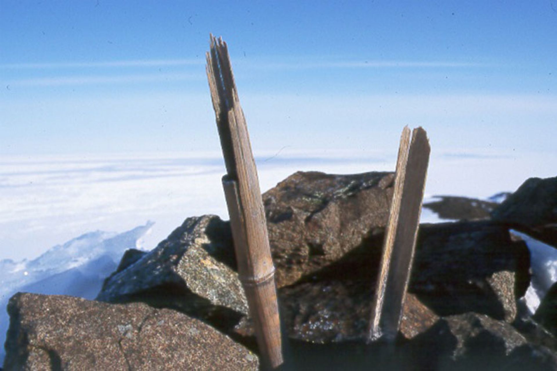 Bamboo pieces on Ellesmere Island 