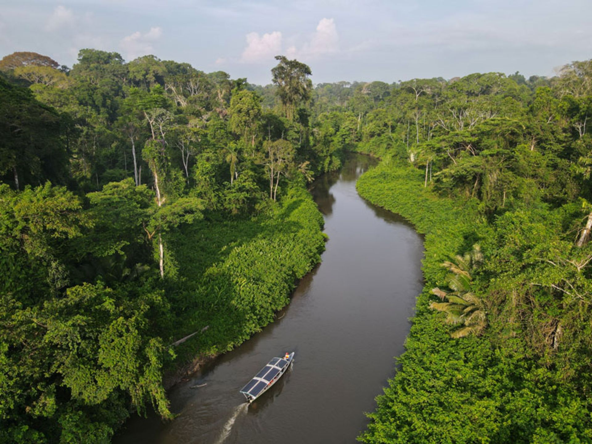 A view of the Santiago River in the Amazon jungle