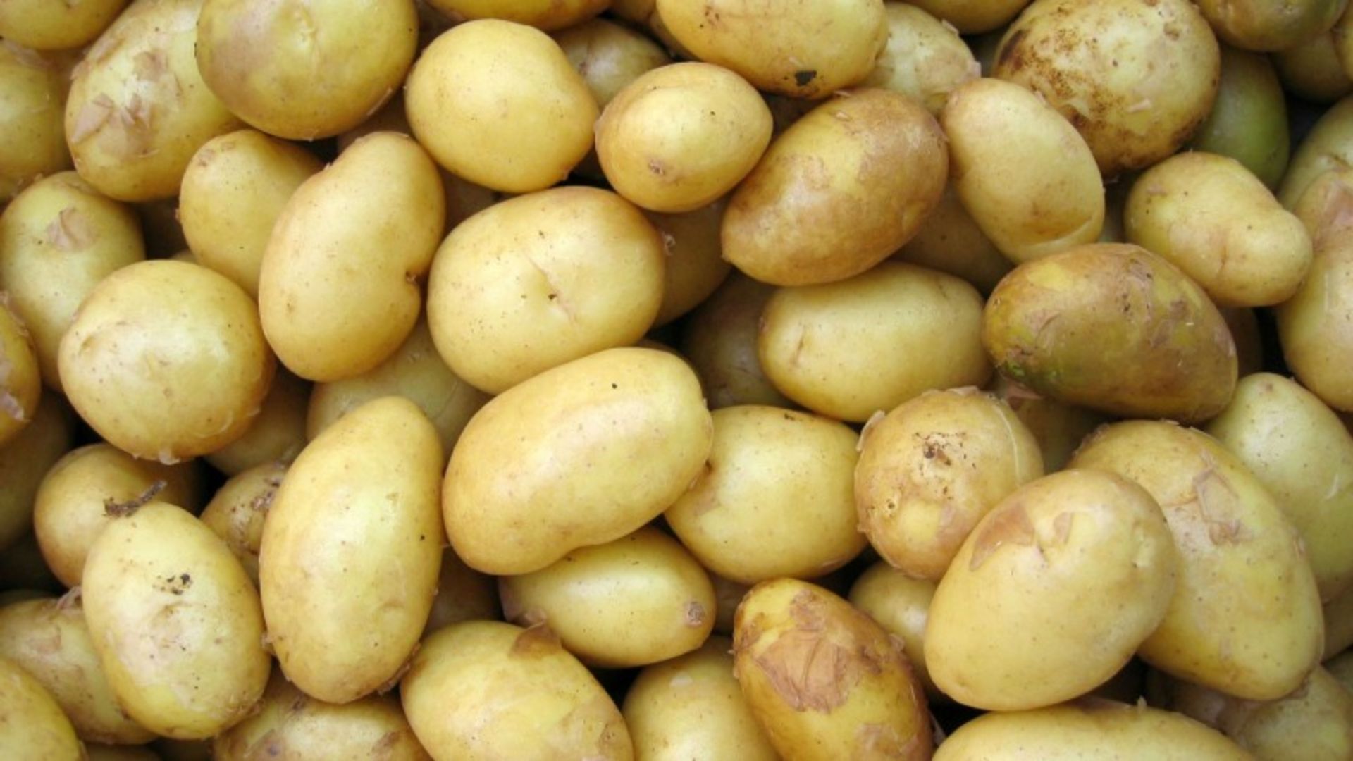 Lots of raw potatoes
