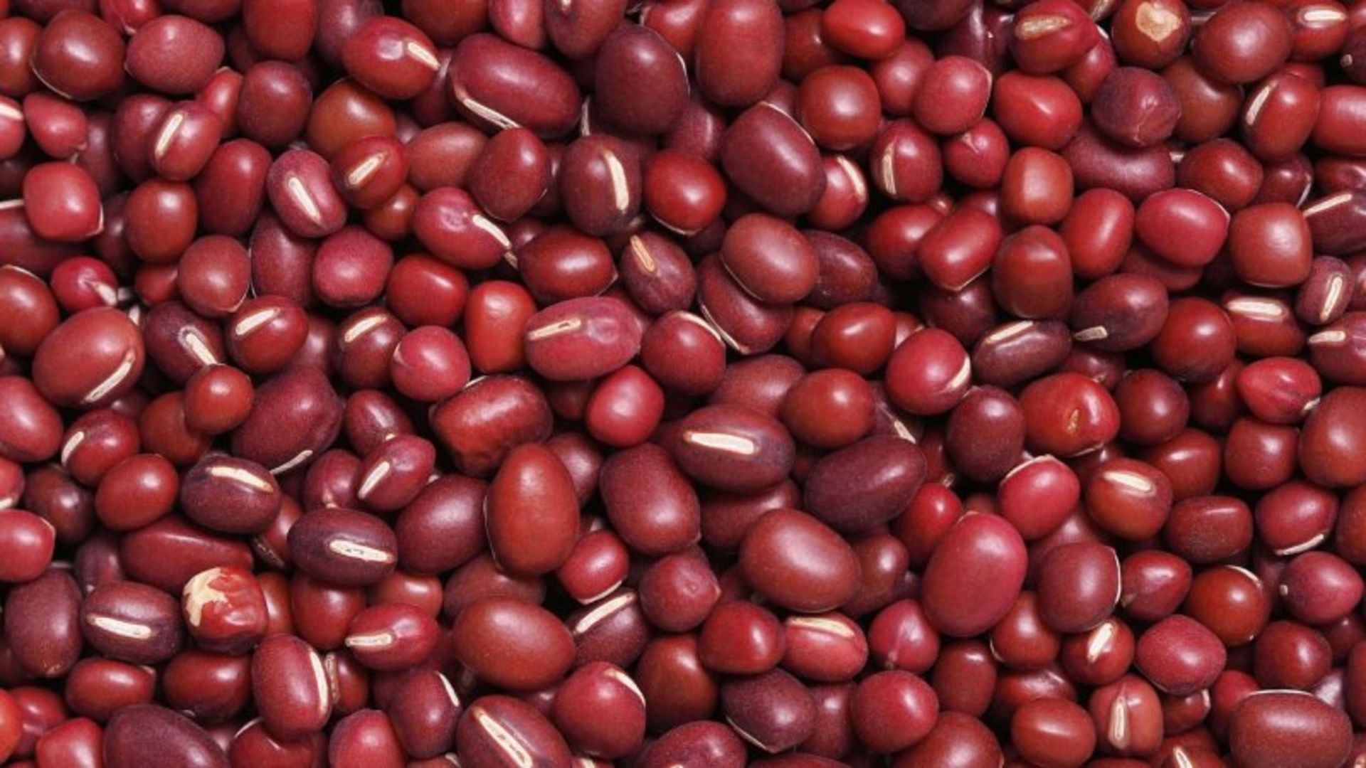 Raw red beans