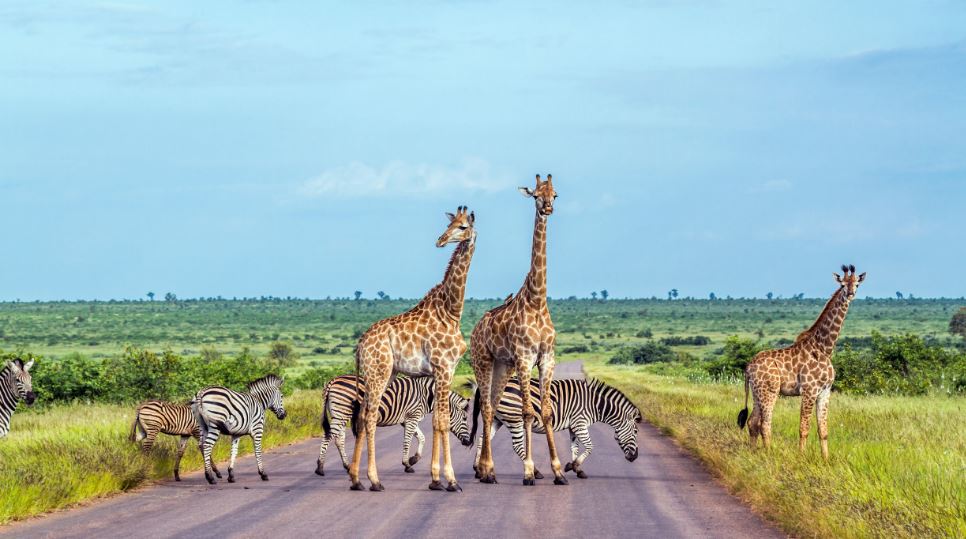 South African winter activities