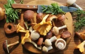 Know the types of edible mushrooms (and tricks to buy healthy mushrooms)