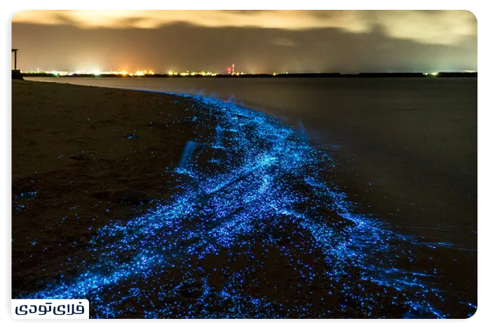 Chabahar beaches at night