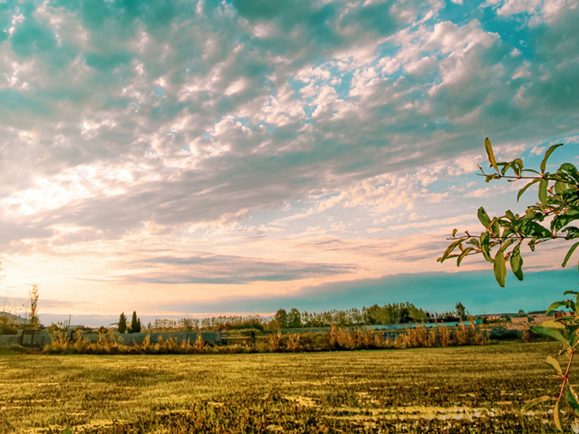 The green nature around Babolsar
