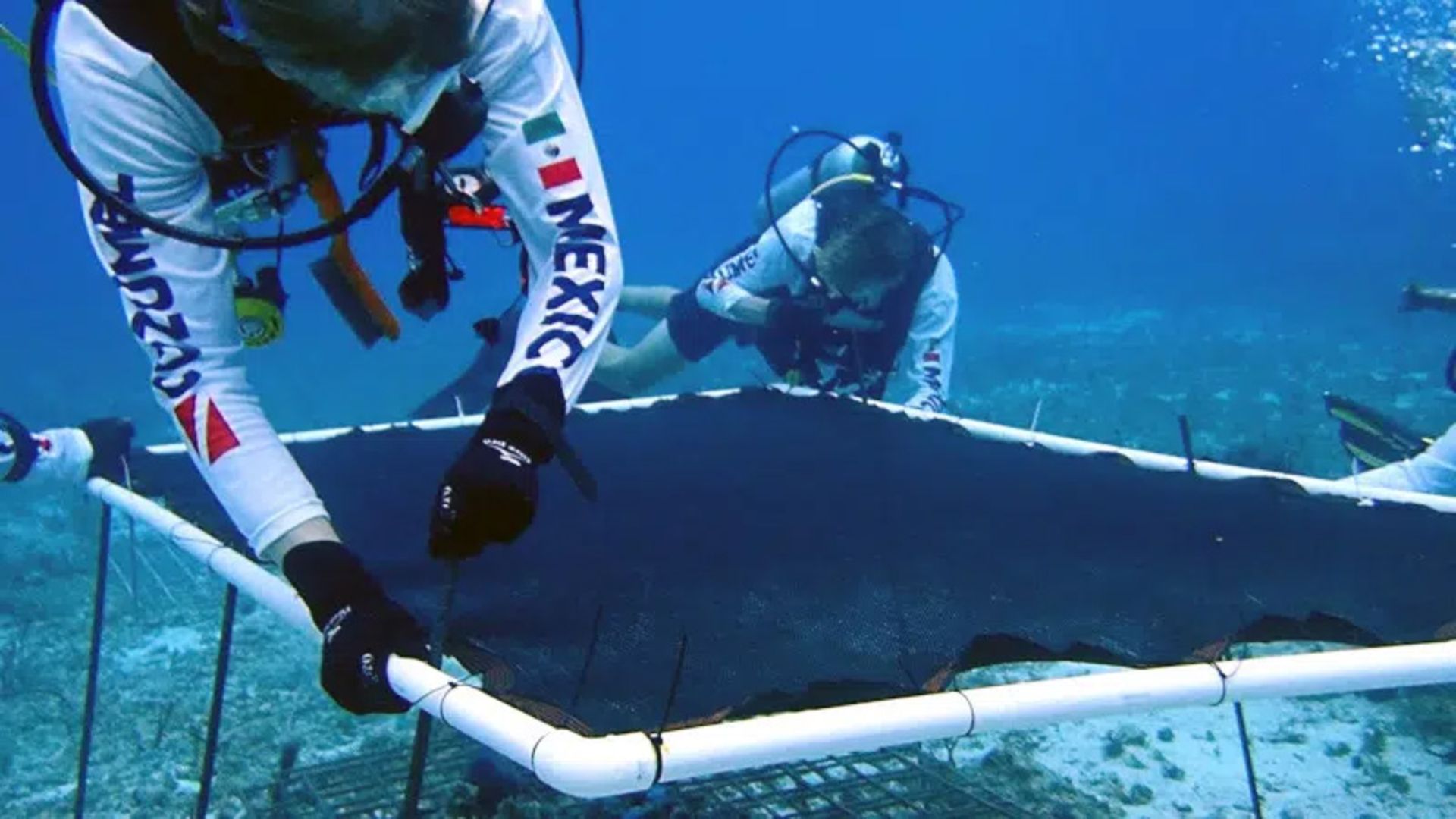 Installing a 3D printing platform for coral cultivation