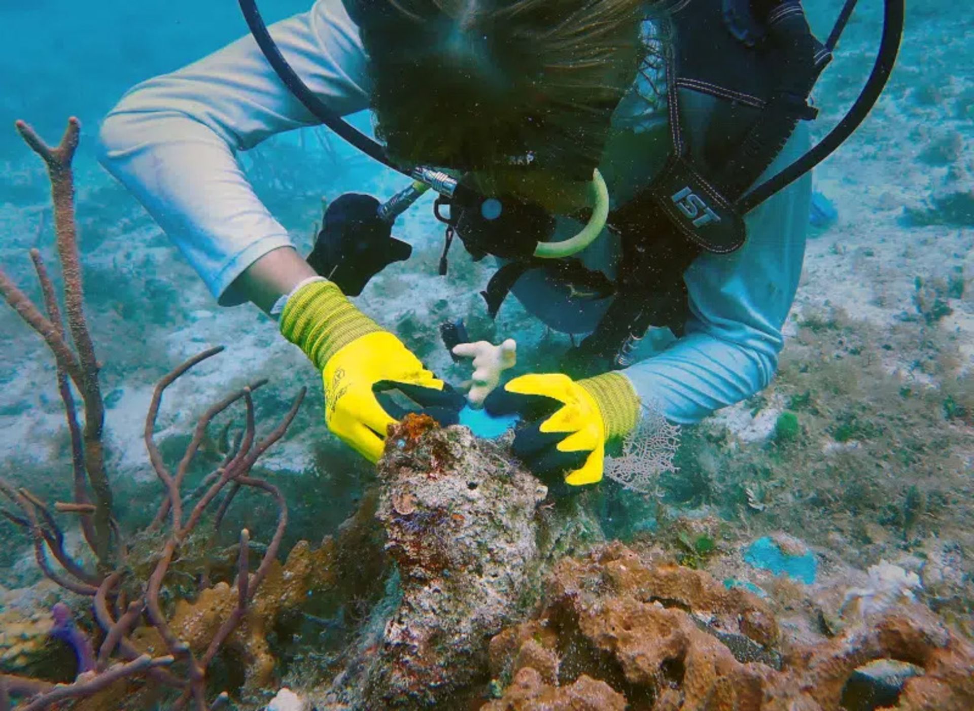 Diving while planting and growing coral on a 3D printing platform