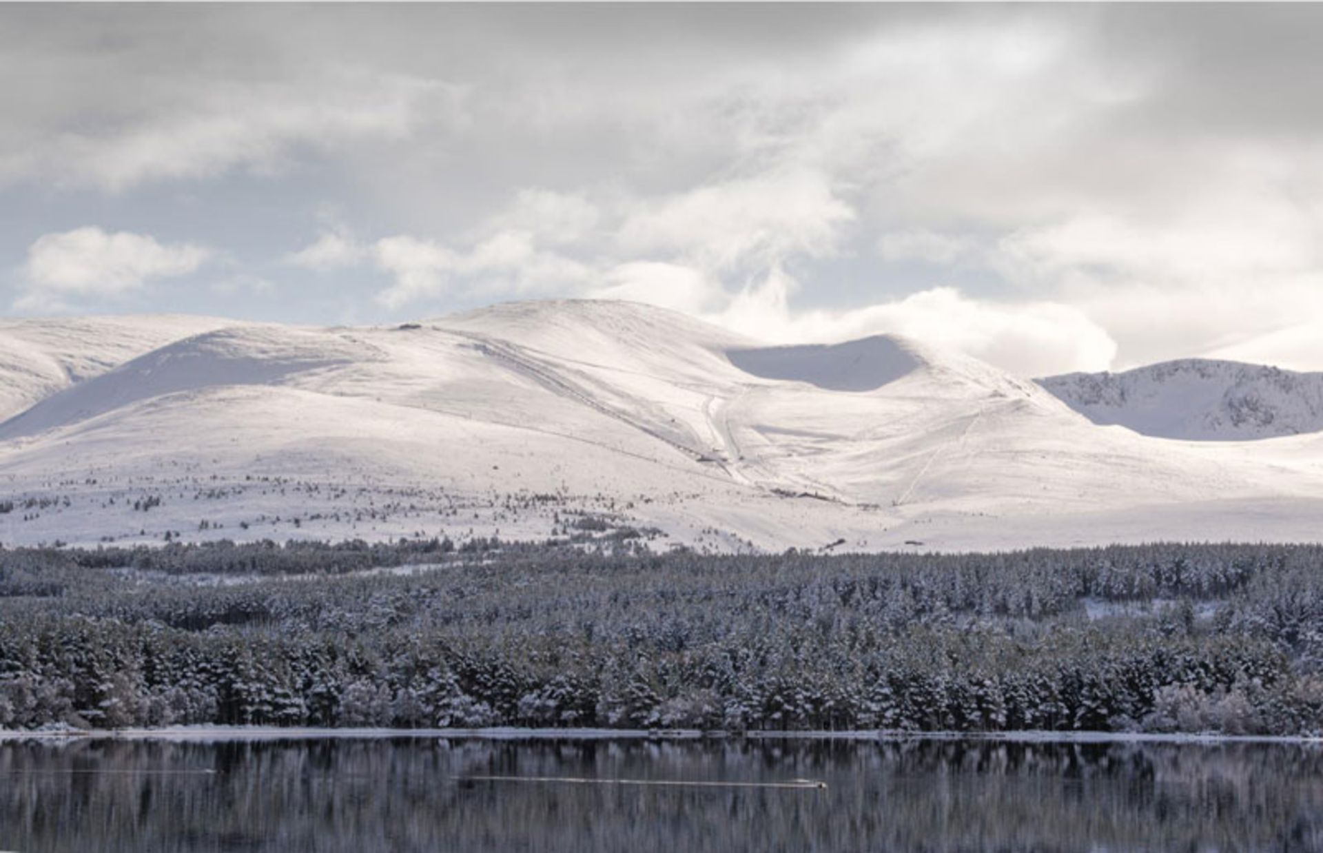 Winter landscape of snowy mountains and pine forest