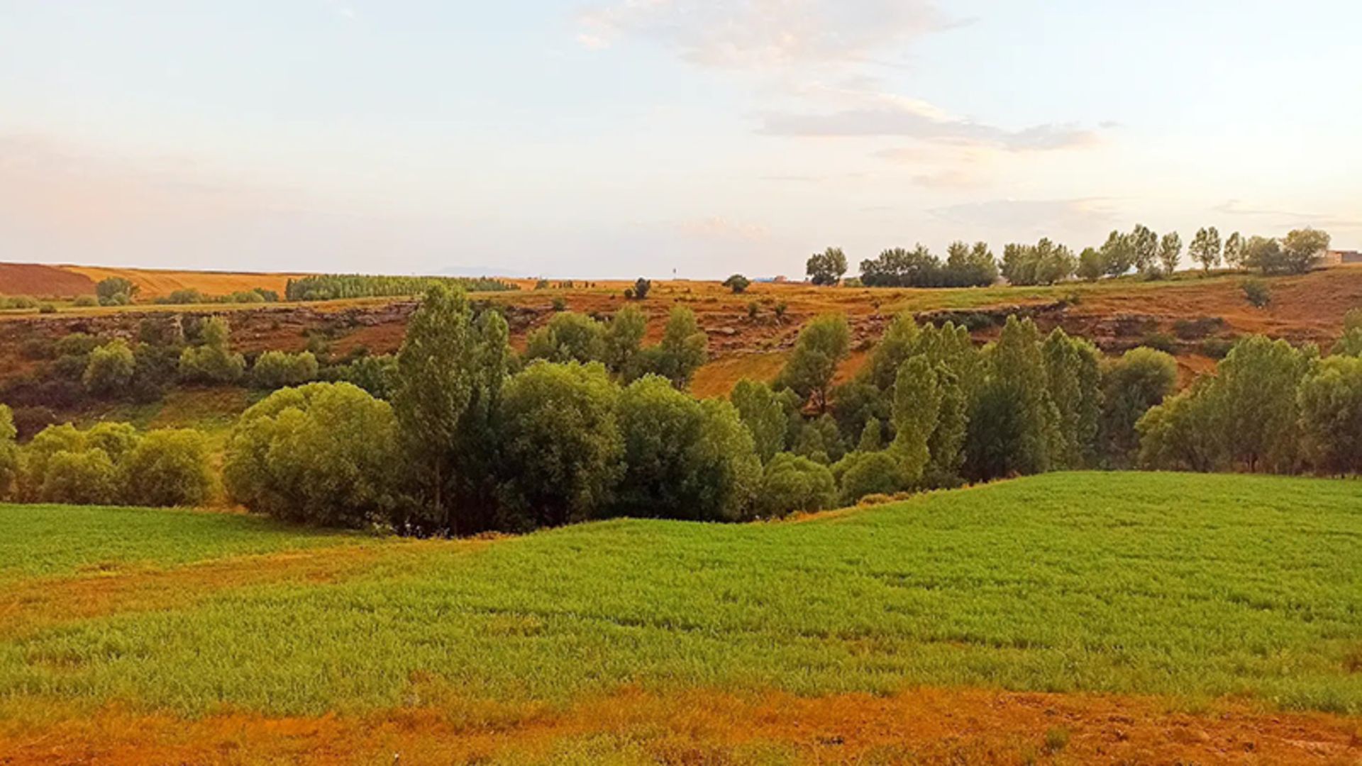 Sareen autumn nature