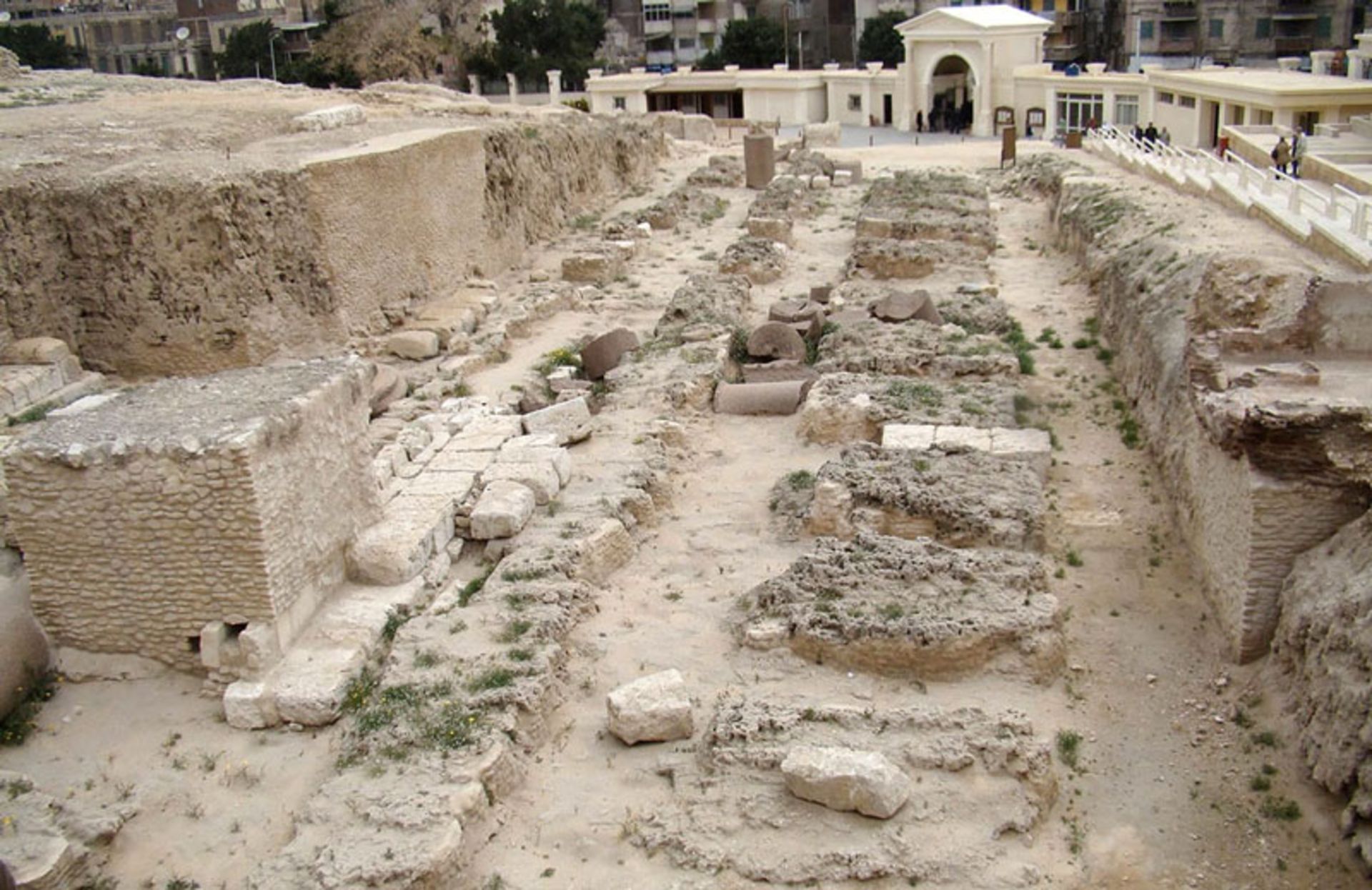 A picture of the archaeological remains of the Serapeum temple in Alexandria