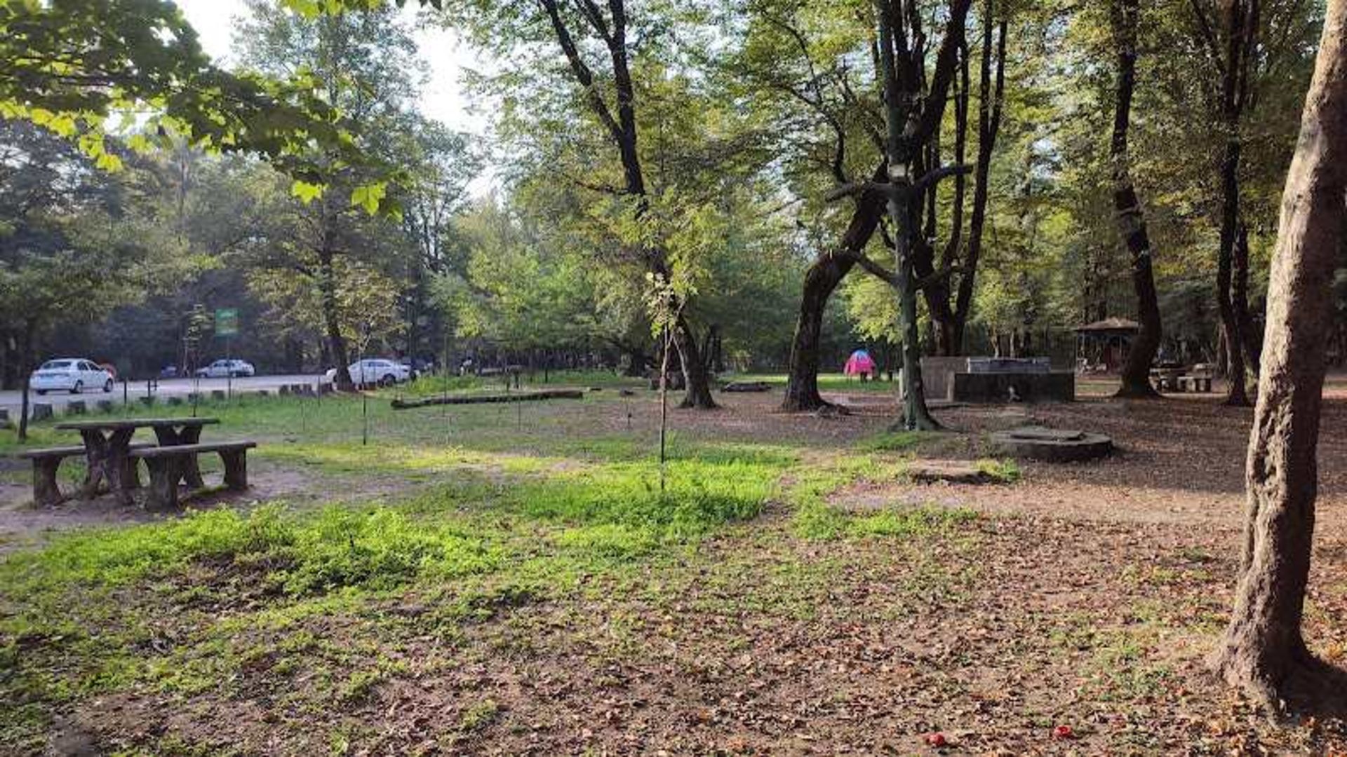 Camping in Si Sangan Forest Park. Source: Google Map; Photographer: Muhammad Zareiy