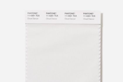 2026 Color of the Year Announced: Cloud Dancer, a natural white with a soothing vibe - Diginoy