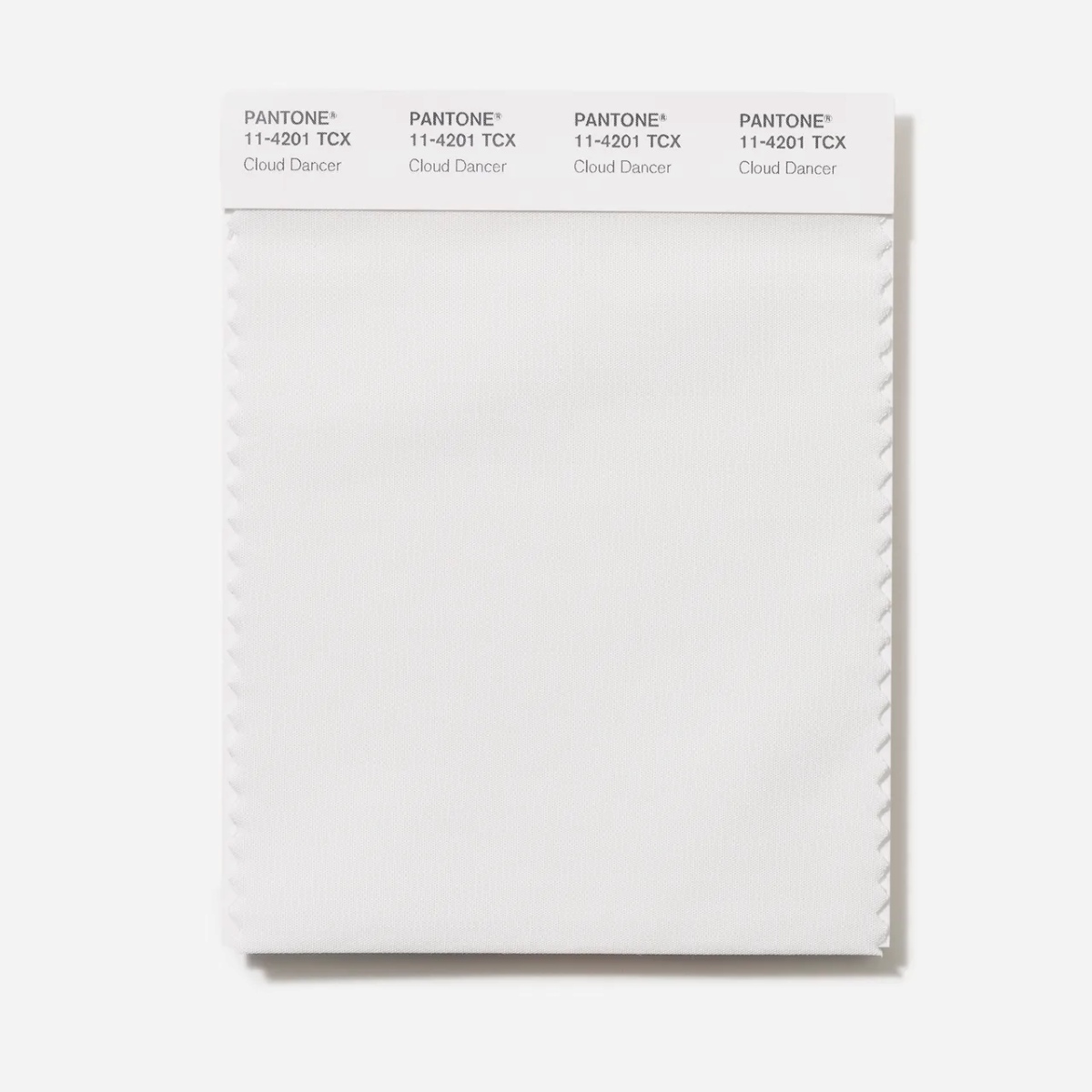 2026 Color of the Year Announced: Cloud Dancer, a natural white with a soothing vibe - Diginoy