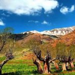 Autumn nature and the blue sky of the carrot plain