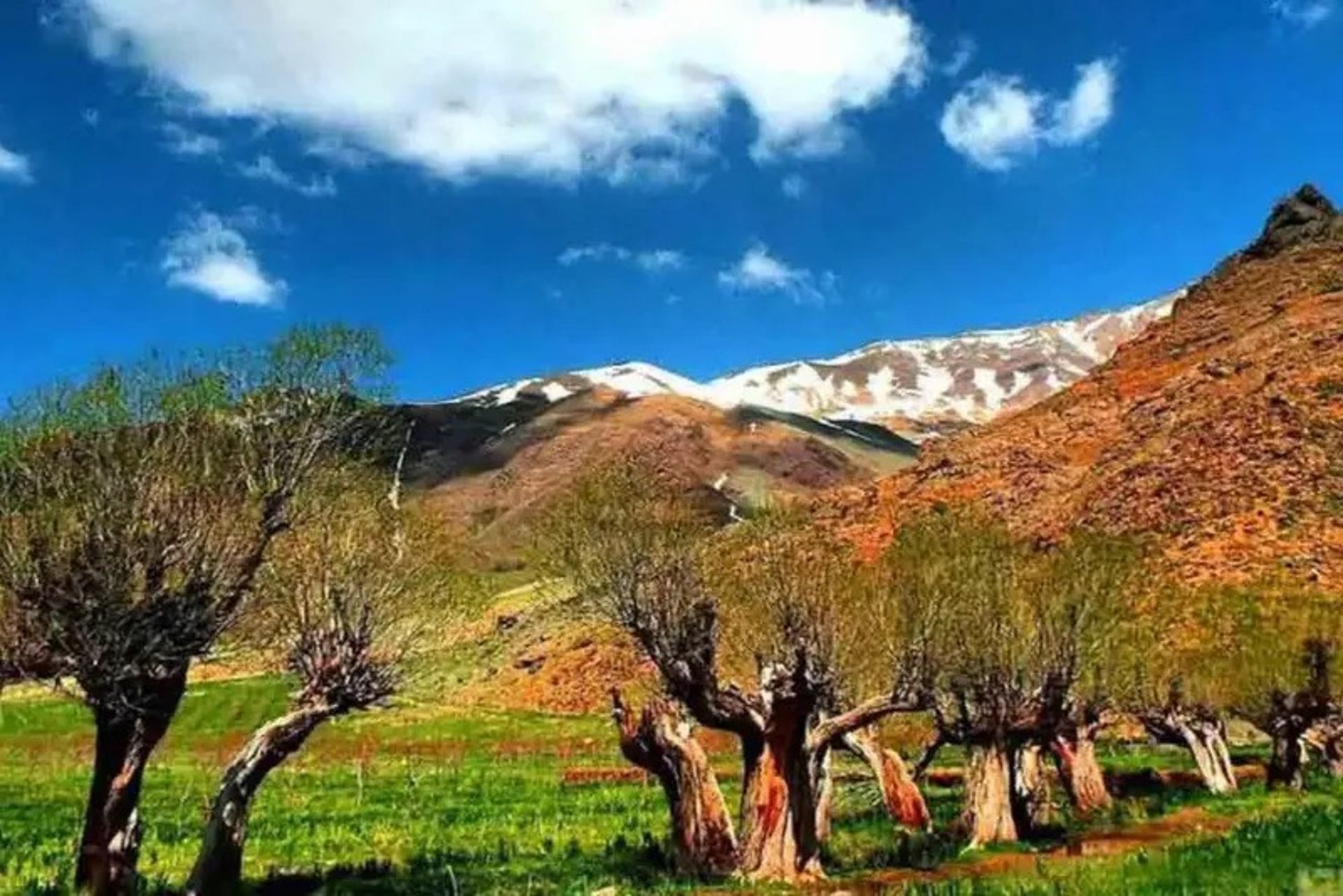 Autumn nature and the blue sky of the carrot plain
