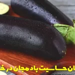 Eggplant allergy treatment at home