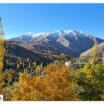 Where is Imamah village?