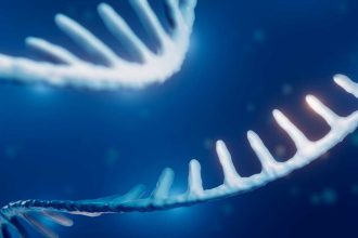 Scientists have discovered a creature that violates a fundamental law of biology - diginoi