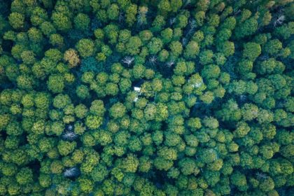 Aerial view of China's secret camp residence