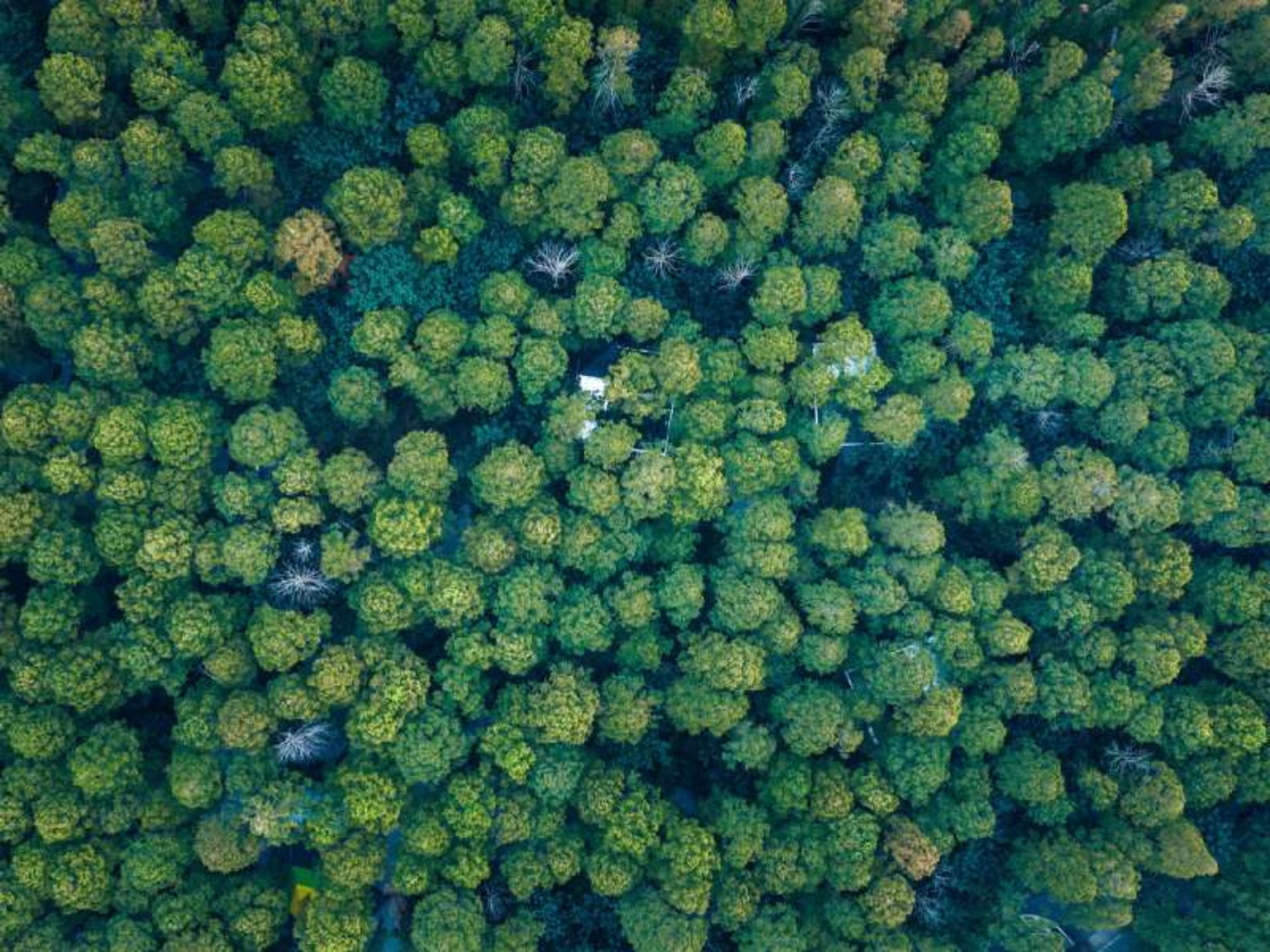 Aerial view of China's secret camp residence
