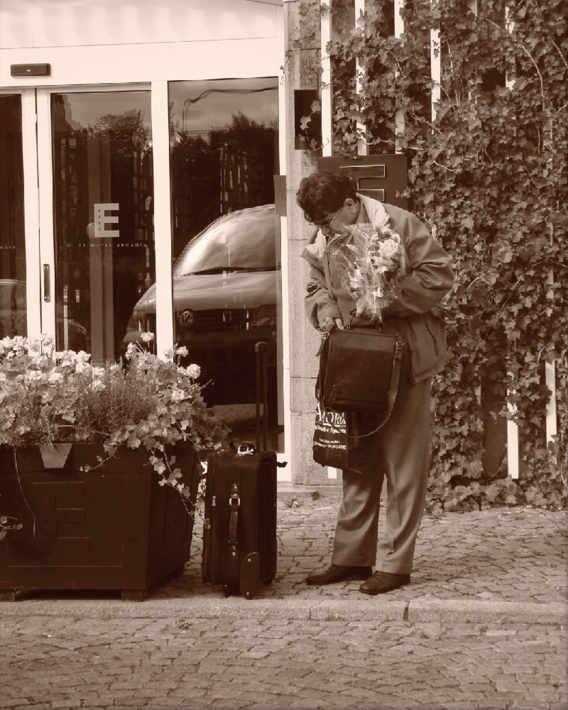 Exhibition of photos by Mohammad Reza Shajarian