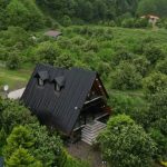 Swiss Rodser hut in forest nature